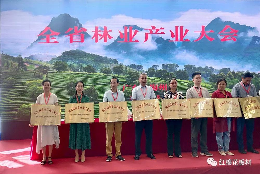 1598232314144171.jpg 东华公司总经理罗山鹰(左三)上台接受授牌。.jpg