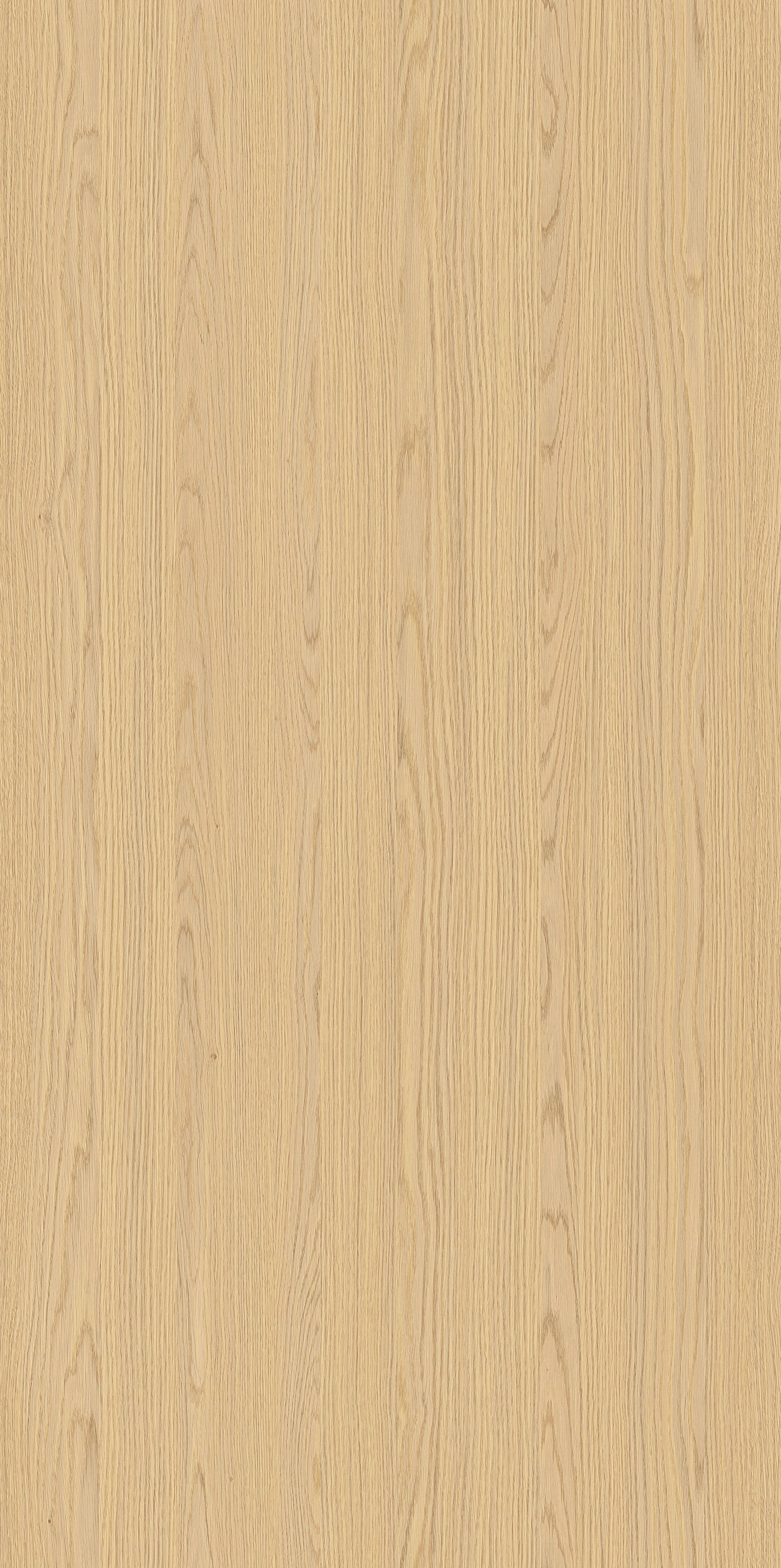 YDHTB1323  托莱多橡木